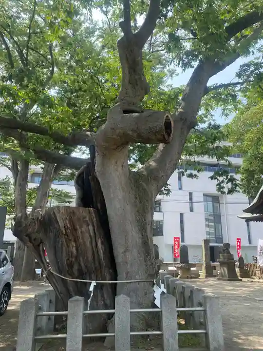 阿邪訶根神社(福島県)