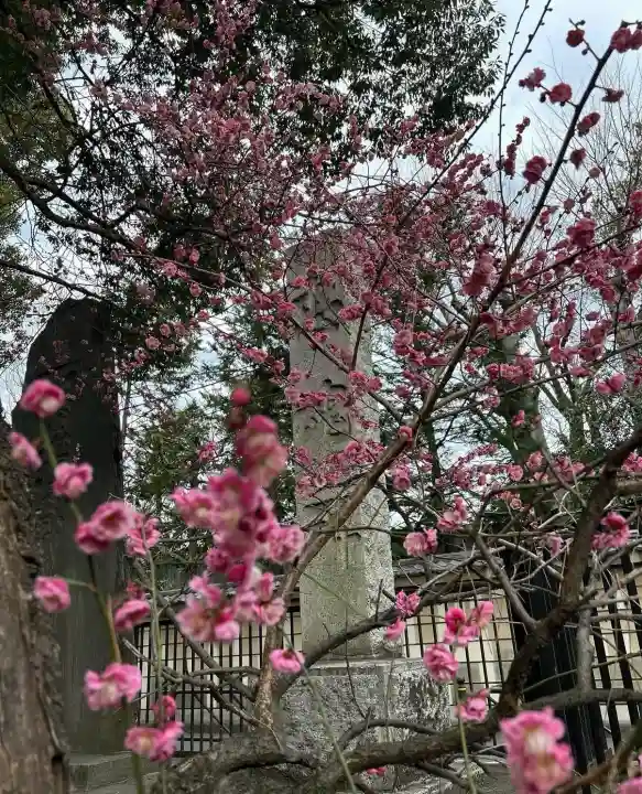 布多天神社(東京都)