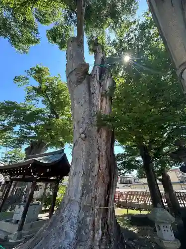 科野大宮社(長野県)