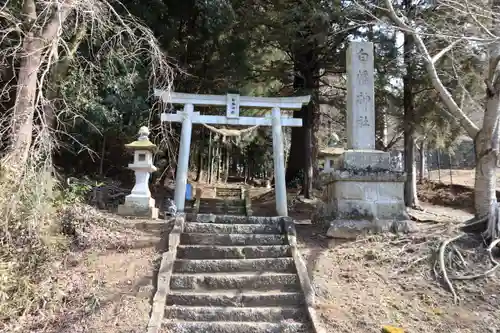 白幡神社の鳥居