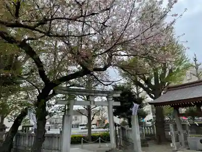 安方神社の鳥居