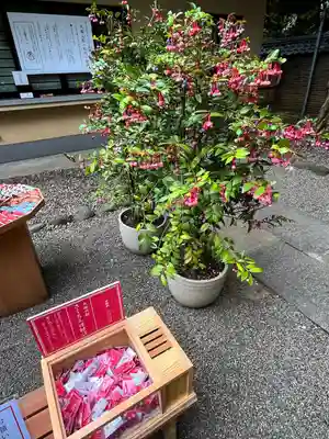 赤坂氷川神社(東京都)