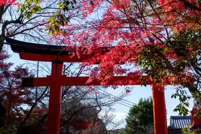 宇治上神社の鳥居