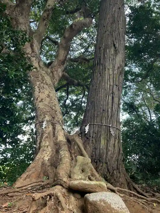 雷神社(千葉県)