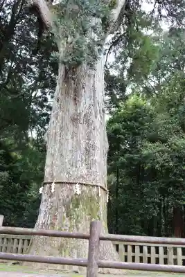 霧島神宮(鹿児島県)
