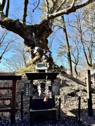 熊野皇大神社(長野県)