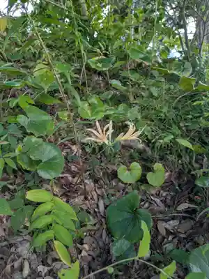 石堂寺(千葉県)