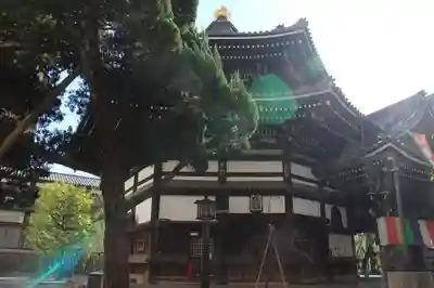 頂法寺(六角堂)の本殿・本堂