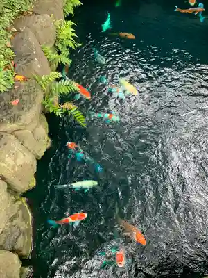 浅草寺(東京都)