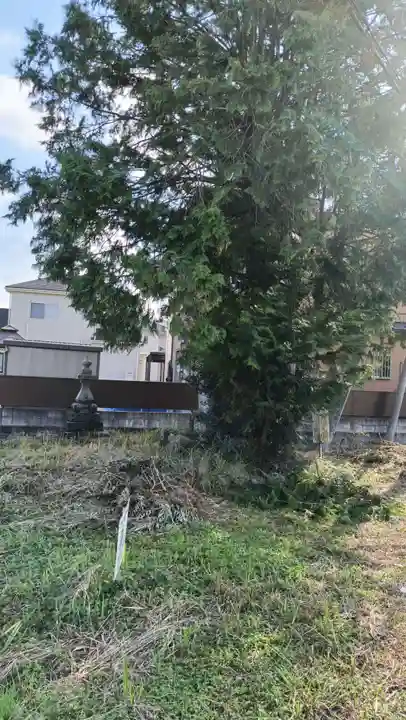 金刀比羅神社の景色