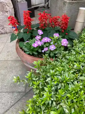 宗隆寺(神奈川県)