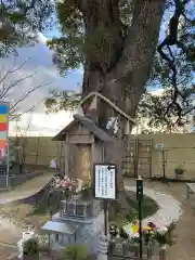 大法寺の像