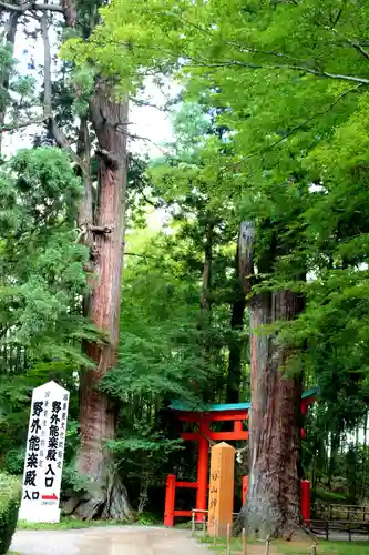 白山神社の自然