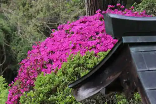 国宝 大法寺の庭園