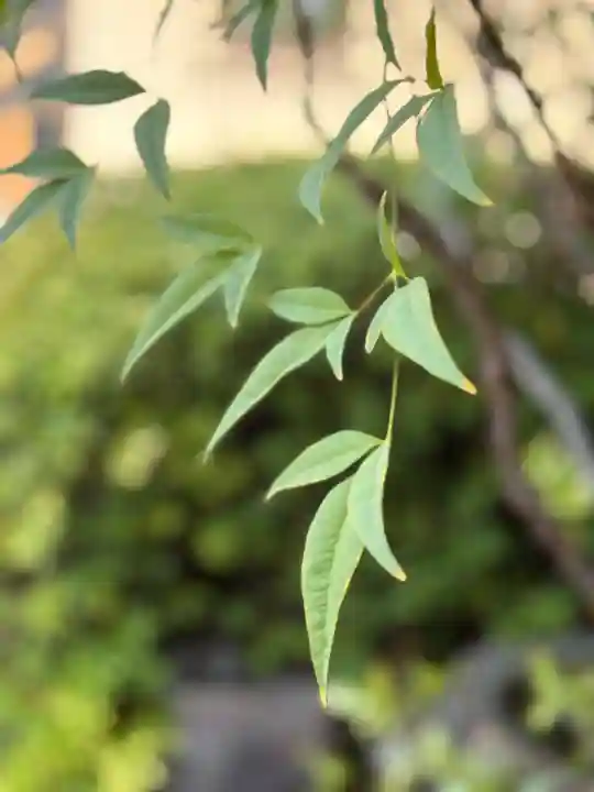 西方山極楽寺(岐阜県)