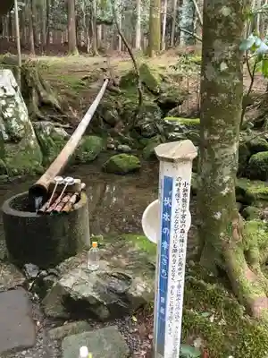 若狭彦神社（上社）の手水舎
