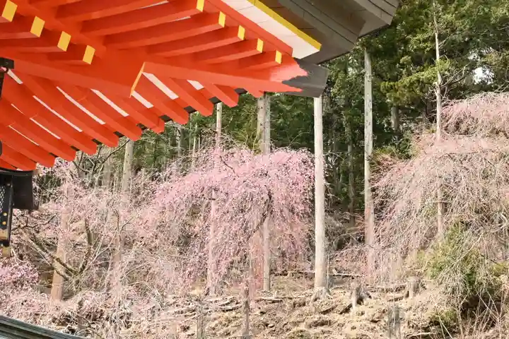 金櫻神社(山梨県)