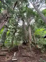 戸隠神社火之御子社の自然