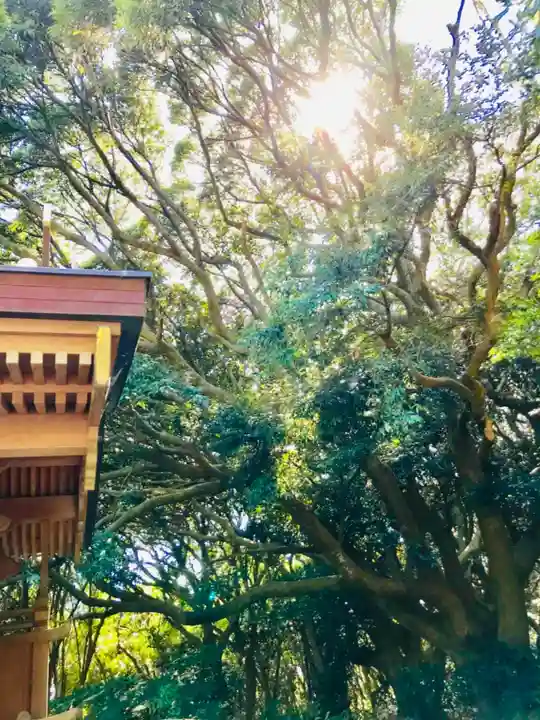猿田神社の自然