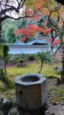 清滝寺徳源院(滋賀県)