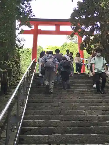 箱根神社の鳥居