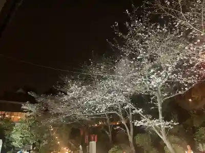 大船観音寺の{uncategorized: "未分類", other: "その他", undefined: "問題あり", building: "その他建物", grave: "お墓", sacred_gate: "鳥居", guardian: "狛犬", statue: "像", buddha: "仏像", history: "歴史", nature: "自然", garden: "庭園", animal: "動物", pagoda: "塔", temizu: "手水舎", mountain_gate: "山門・神門", sanctuary: "本殿・本堂", subordinate: "末社・摂社", art: "芸術", scenery: "景色", jizo: "地蔵", ema: "絵馬", goshuin: "御朱印", omikuji: "おみくじ", items: "授与品その他", amulet: "お守り", goshuincho: "御朱印帳", eats: "食事", festival: "お祭り", votive_dance: "神楽", shichigosan: "七五三参", wedding: "結婚式", experience: "体験その他", initially: "初詣", around: "周辺", anti_infection: "感染症対策"}