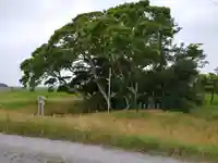 神社(名称不明)の周辺