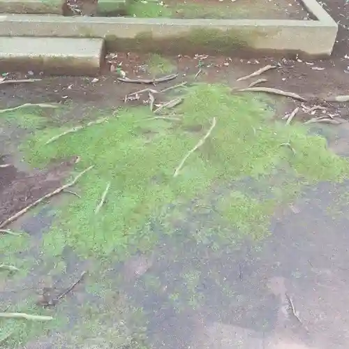 沼尾神社の自然