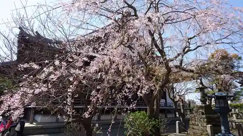 本覚寺の景色