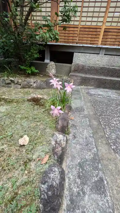 大幸寺(京都府)