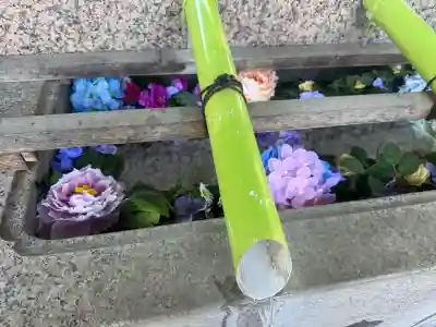 伊勢崎神社の{uncategorized: "未分類", other: "その他", undefined: "問題あり", building: "その他建物", grave: "お墓", sacred_gate: "鳥居", guardian: "狛犬", statue: "像", buddha: "仏像", history: "歴史", nature: "自然", garden: "庭園", animal: "動物", pagoda: "塔", temizu: "手水舎", mountain_gate: "山門・神門", sanctuary: "本殿・本堂", subordinate: "末社・摂社", art: "芸術", scenery: "景色", jizo: "地蔵", ema: "絵馬", goshuin: "御朱印", omikuji: "おみくじ", items: "授与品その他", amulet: "お守り", goshuincho: "御朱印帳", eats: "食事", festival: "お祭り", votive_dance: "神楽", shichigosan: "七五三参", wedding: "結婚式", experience: "体験その他", initially: "初詣", around: "周辺", anti_infection: "感染症対策"}