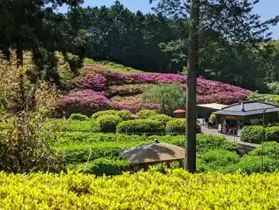 三室戸寺(京都府)