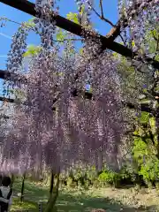 和氣神社（和気神社）(岡山県)