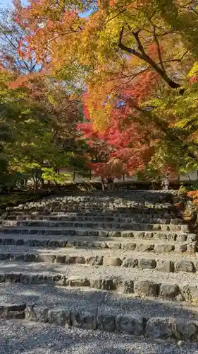 二尊院の建物その他