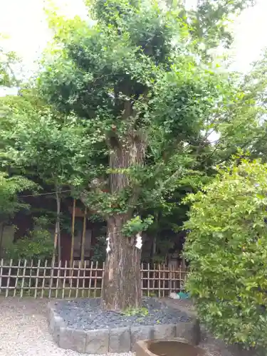 市谷亀岡八幡宮(東京都)