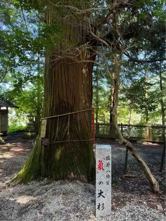 塩原八幡宮(栃木県)