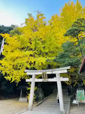 高良神社(京都府)