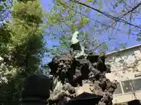 吉原弁財天本宮(吉原神社奥宮)(東京都)