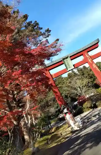 志波彦神社・鹽竈神社の鳥居