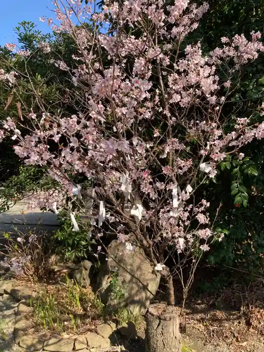 龍峰寺(神奈川県)