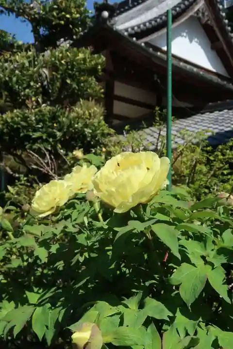 万福寺(愛知県)