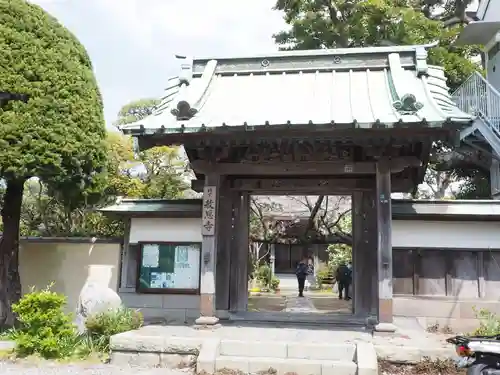 教恩寺の山門