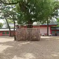 住吉大社(大阪府)