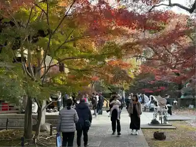 淨眞寺(東京都)