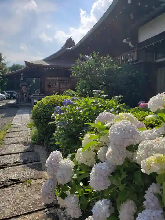本郷氷川神社(東京都)