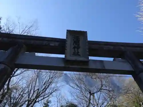 浅間神社の鳥居