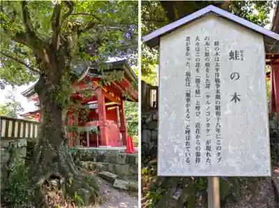 一之宮貫前神社(群馬県)