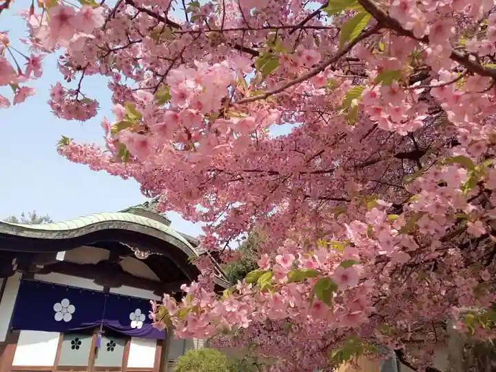 新井薬師(梅照院)(東京都)