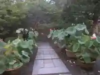 覚園寺(神奈川県)