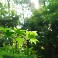 岐阜稲荷山本社の自然